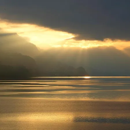 Beauregard - Direct View