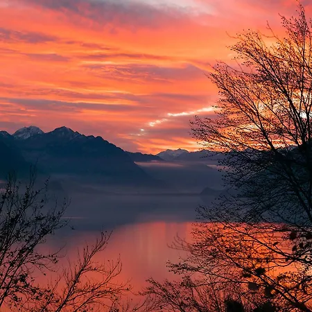 Beauregard - Direct View *