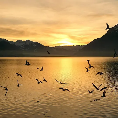 Beauregard - Direct View Διαμέρισμα