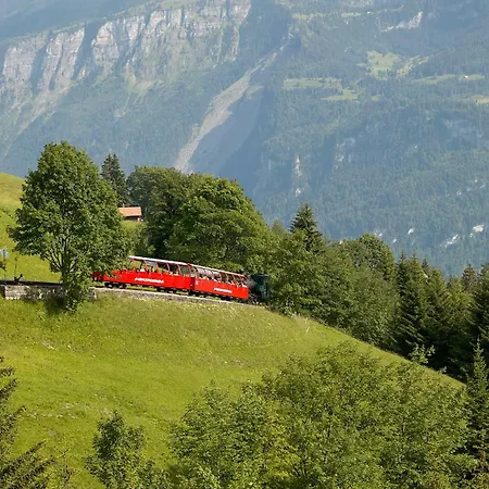 Beauregard - Direct View Brienz (Bern)