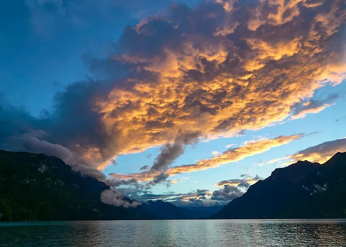 Beauregard - Direct View