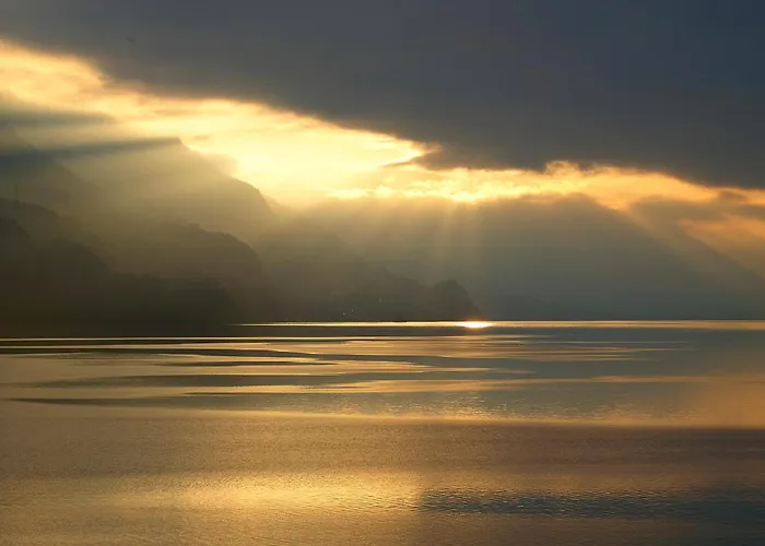 Beauregard - Direct View