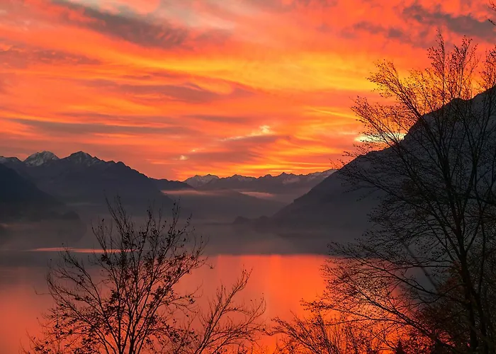 Beauregard - Direct View Apartment