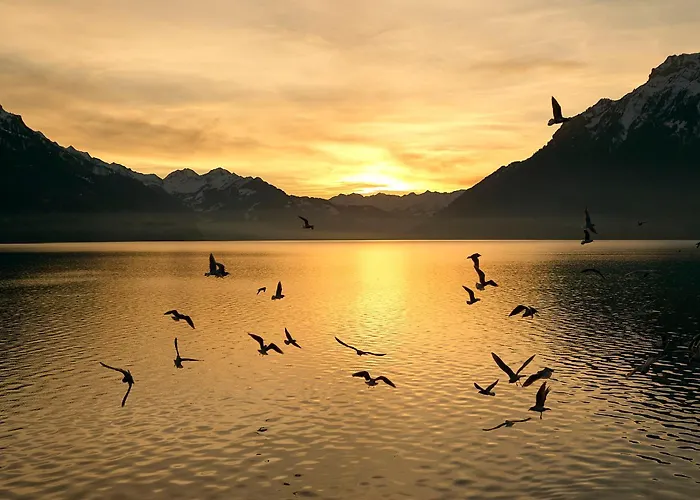 Beauregard - Direct View Lejlighed